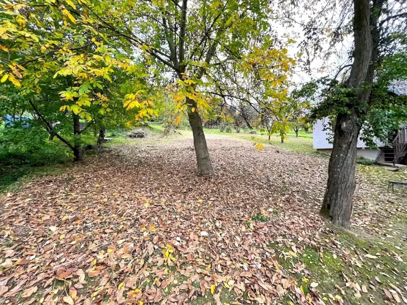 Autumn in the gardens of Bystré with trees and fallen leaves on the ground.