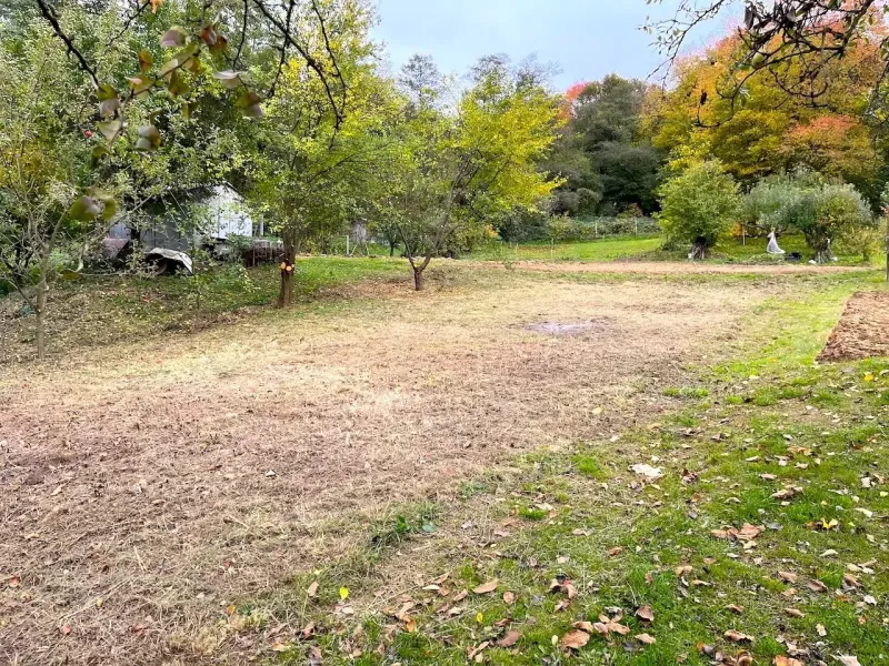 Gardens in Bystré with a lawn and trees in autumn colors.
