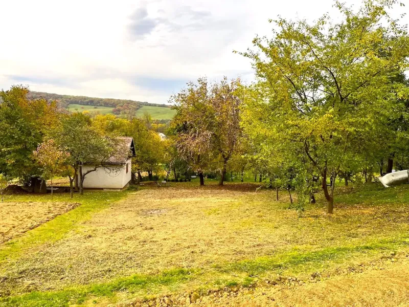Gardens in Bystrom with a grassy area, trees, and a small house in the autumn season.