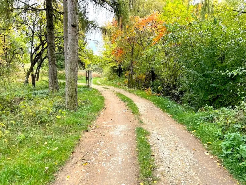 An autumn path in the gardens of Bystré surrounded by trees with vibrant leaves.