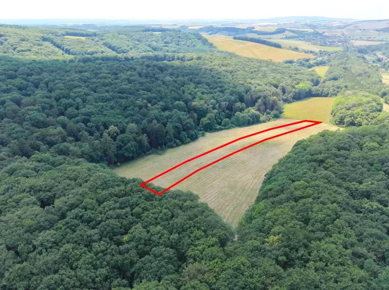 Aerial view of Gardens in Podbranč with a marked rectangular plot in the middle of the forest.