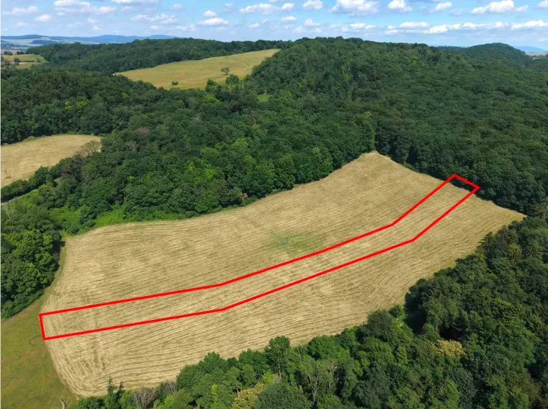 In the Gardens in Podbranč, a field surrounded by forests and a plot marked with a red line can be seen.