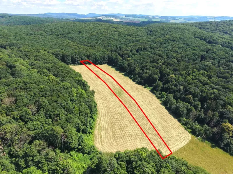 Aerial view of a field surrounded by forests in Záhrady near Podbranč.