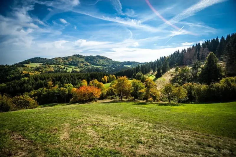The beautiful nature of Banská Štiavnica with colorful autumn trees and green meadows in Special Properties.