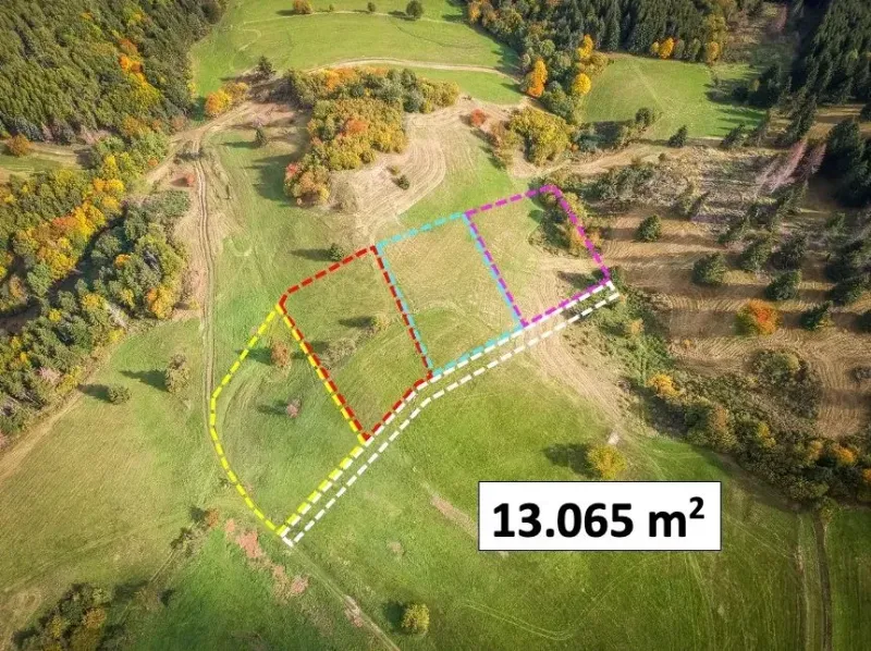Extensive green areas with marked plots in Banská Štiavnica (Special properties).