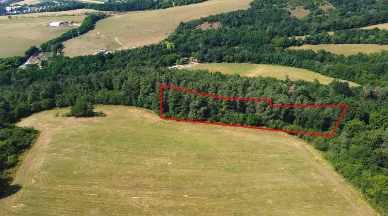 A meadow surrounded by forests in Záhrady near Beckov, with a marked plot in the forest.