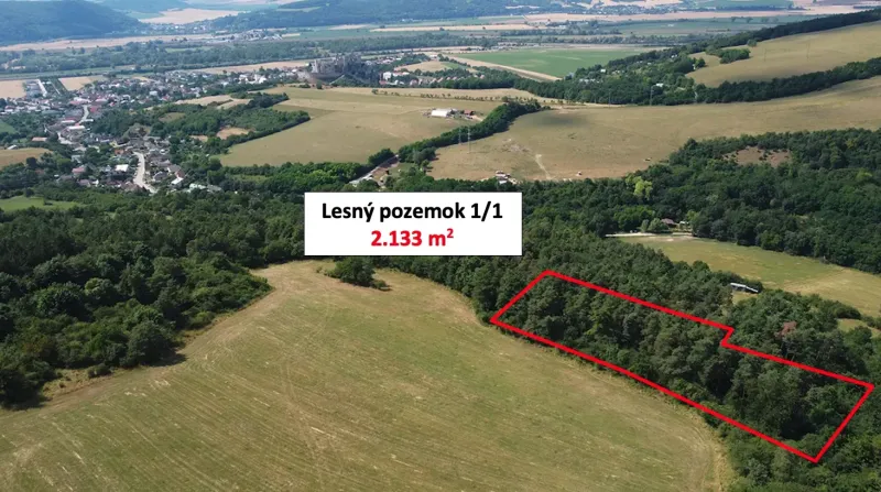 A large forest plot of 2,133 m² in the gardens of Beckov.