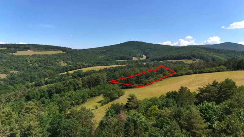 Meadows and forests in the gardens near Beckov with a red outline of the land.