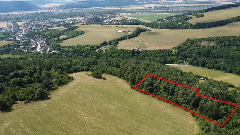Aerial view of the landscape and gardens around Beckov with the marked plot.