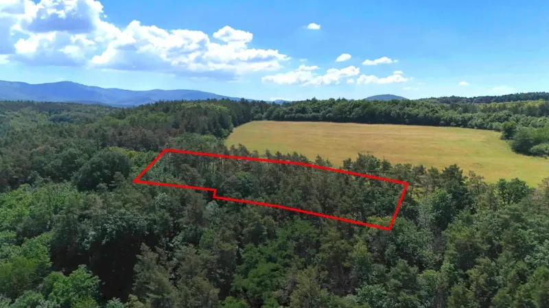 A view of a forest plot in the gardens of Beckov with a view of the mountains and fields.