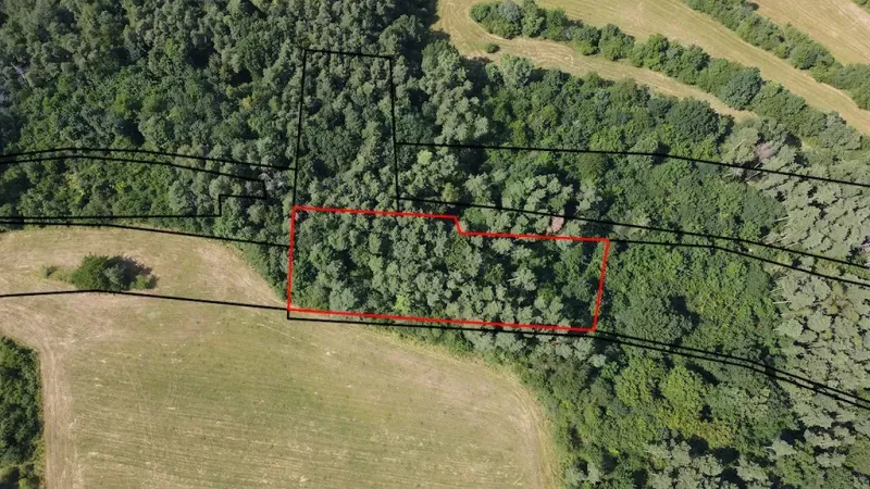 Forest and field area, Gardens in Beckov bordered by a red line.