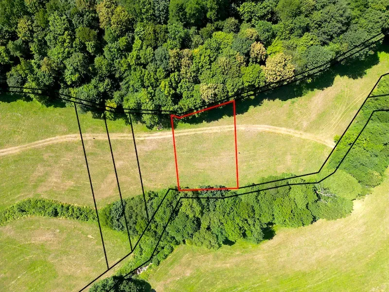 Gardens in Horná Ves surrounded by dense forest, with a designated area on the grassy field.
