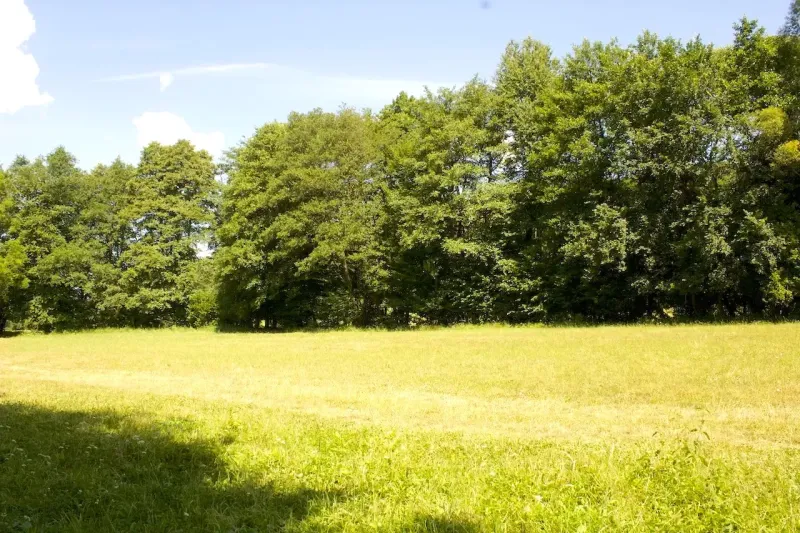A grassy area surrounded by trees in the Gardens of Horná Ves under a blue sky.