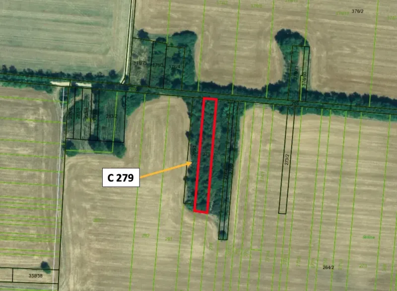 Cadastral map of agricultural and forest land in Tupé, marked parcels.