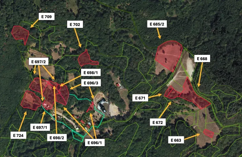 Agricultural and forest lands around Prochot, marked with parcel numbers.