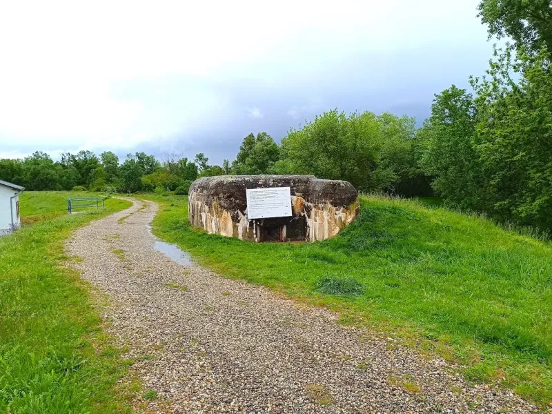 Bunker from special properties in Malacky, surrounding trees and a watered gravel road.