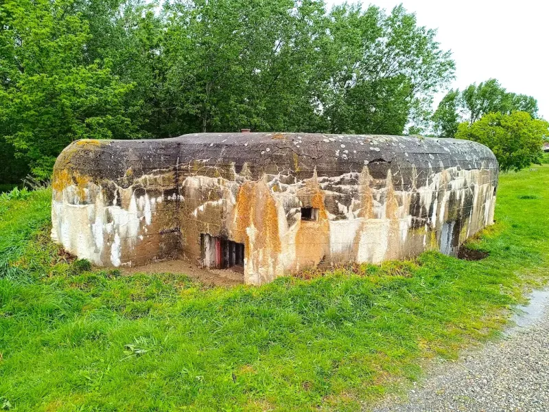 Unusual properties in Malacky surrounded by greenery, with a concrete structure.