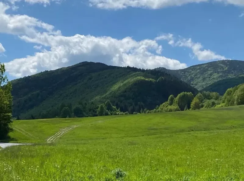 Green meadows and forests surrounded by hills in Veľký Lipník on agricultural and forest lands.