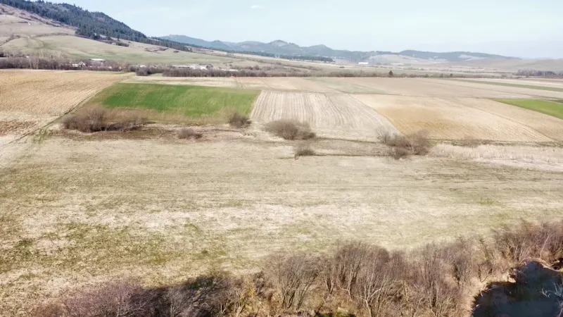 Agricultural and forest lands in Podhorany display diverse shades on the spring fields.