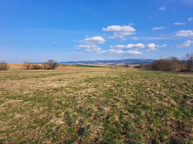 Landscape in Podhorany with agricultural and forest lands under a blue sky.