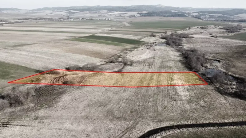 Agricultural and forest land in Podhorany with visible boundary markings.