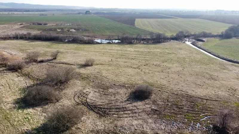 Agricultural and forest land in Podhorany with fields, trees, and grassy areas.