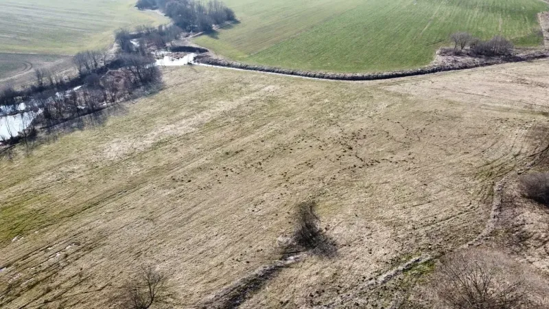 Agricultural and forest lands in Podhorany with scattered trees and water streams.