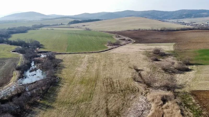 Agricultural and forest lands in Podhorany with elevations and tree growth.