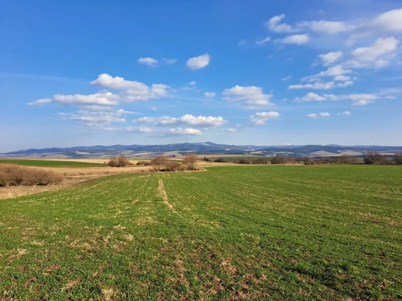 Landscape in Podhorany with agricultural and forest land under a blue sky.