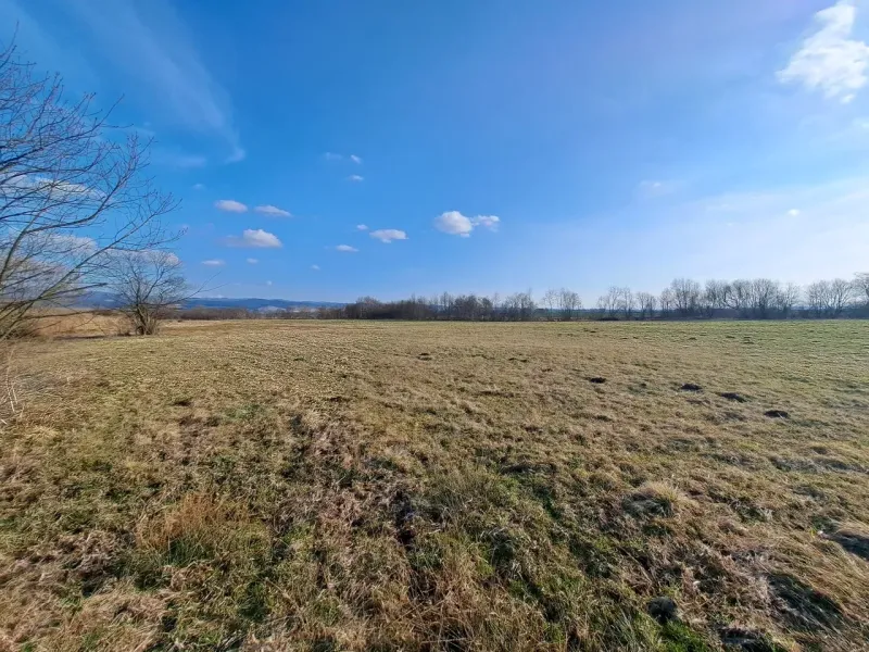 Agricultural and forest land in Podhorany with a blue sky and sparse trees.