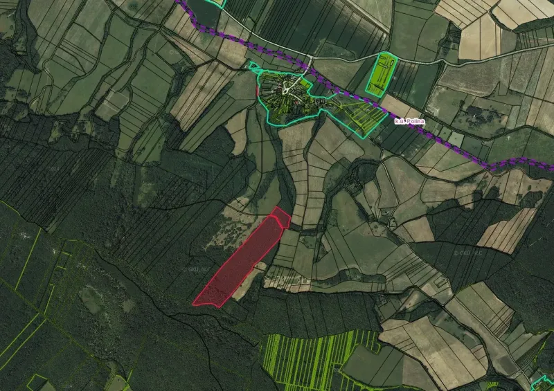 Map of agricultural and forest land around Polina, with marked parcel boundaries.
