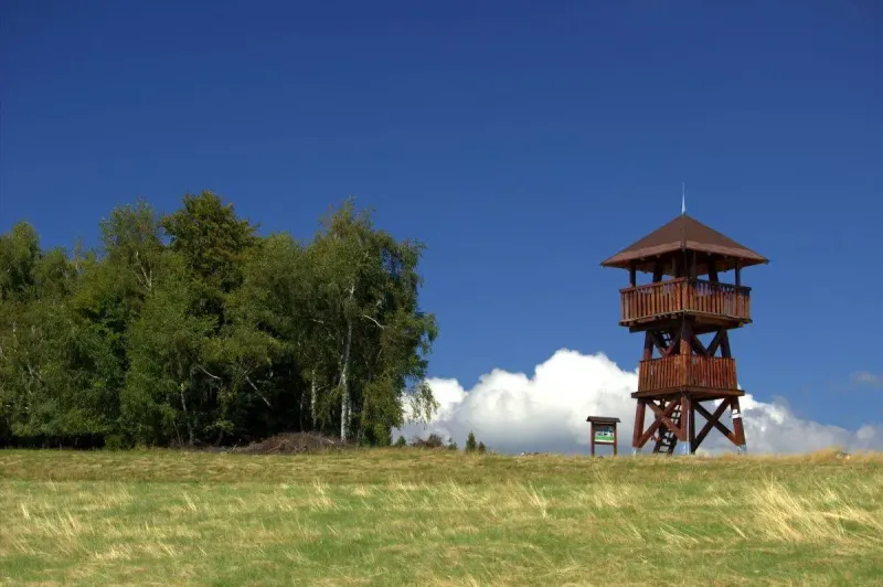Lookout tower next to the forest on the edge of a field in the vicinity of Polina, area of agricultural and forest land.