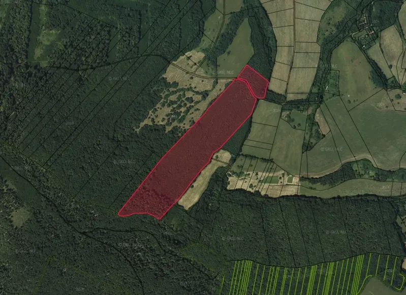 Aerial view of agricultural and forest land around Polina surrounded by nature.