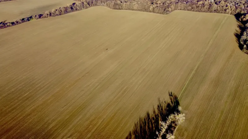 Agricultural and forest lands in Zbudza with extensive flat fields and forests.