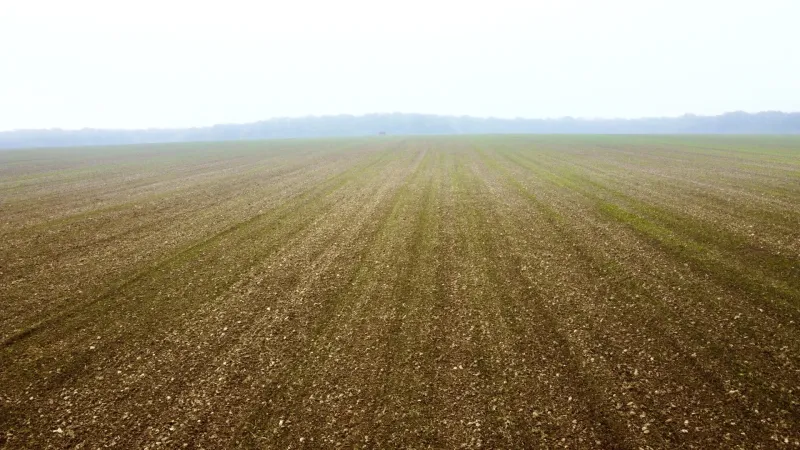 Cultivated fields on agricultural and forest lands in Zbudza under a gentle haze.