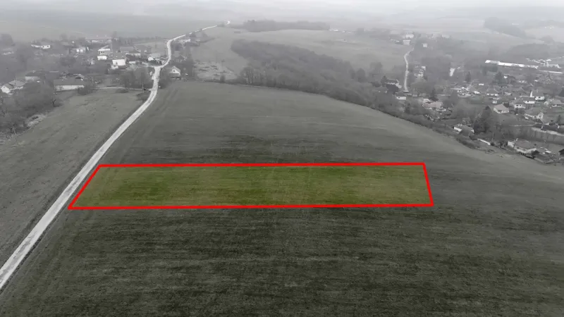 Special properties in Podkylava: Grassland plot with markings and adjacent road.