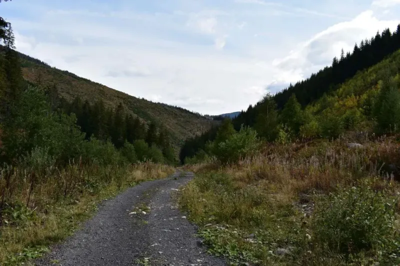 A wooded valley with forest paths around Prievidza, ideal for hiking and relaxation.