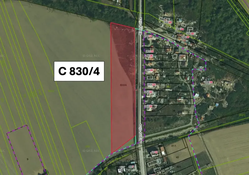 Cadastral map of agricultural and forest land in the village of Boťany with plot C 830/4.