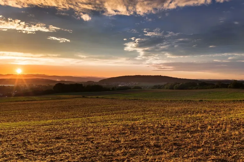Sunset over the agricultural and forest lands in Boťany creates a picturesque landscape.