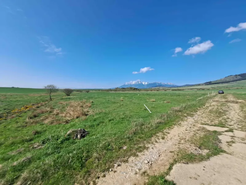 Agricultural and forest lands in Podhorany with a road and distant mountains under a blue sky.