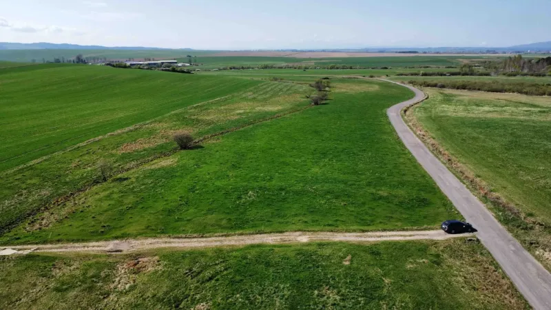 Agricultural and forest lands around Podhorany with a road and a car.