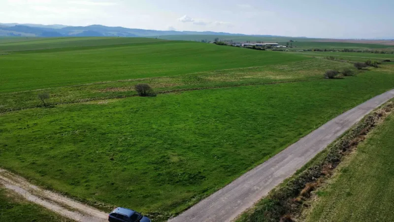 Green fields on agricultural and forest land in Podhorany with a rural road.