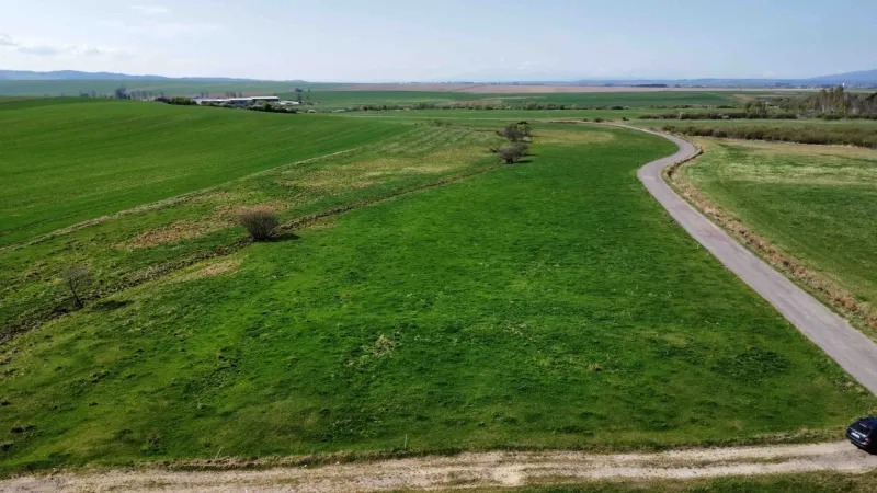 A path between agricultural and forest lands in Podhorany with vast green fields.