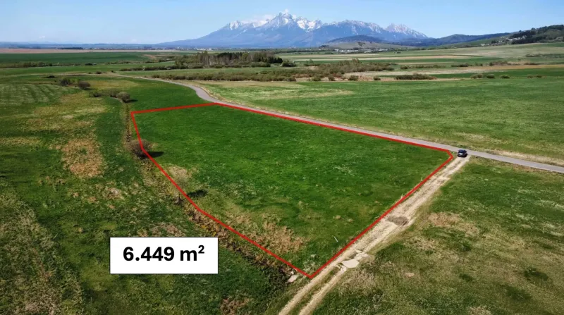 Agricultural and forest land in Podhorany with an area of 6,449 m², surrounded by nature.