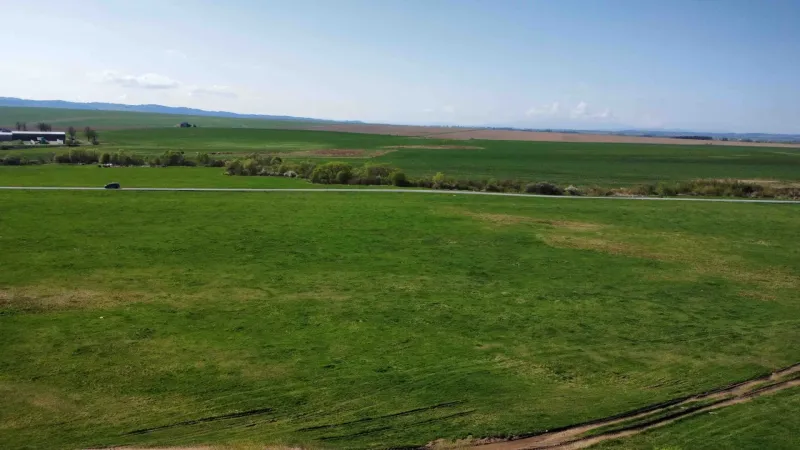 A landscape with agricultural and forest land around Podhorany, with a road and meadows.