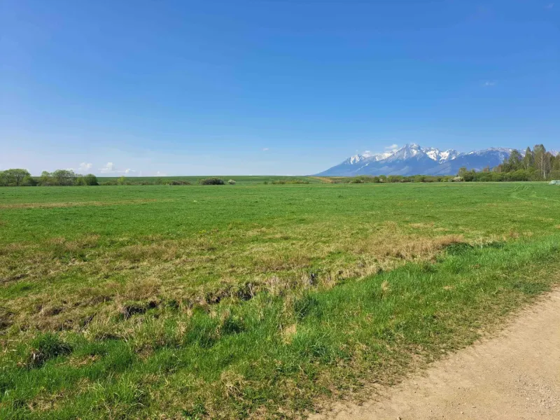 Agricultural and forest lands in Podhorany with a view of snow-covered mountains and a blue sky.