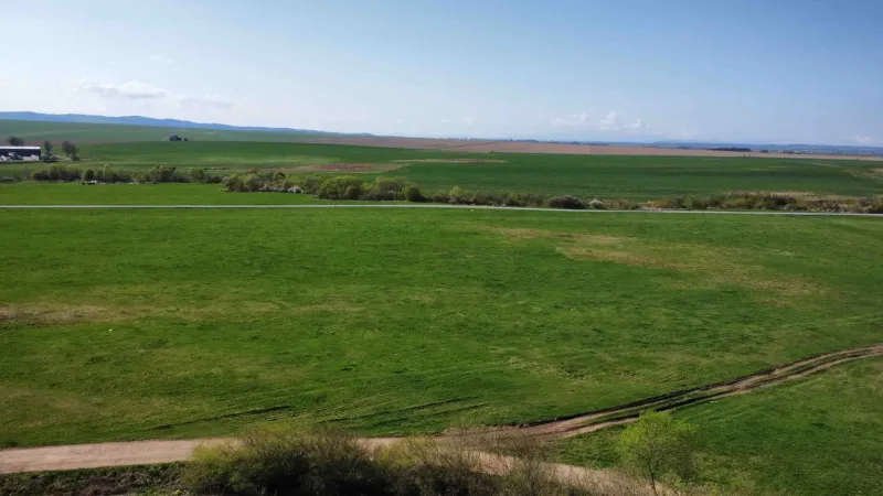 Green fields and roads in the agricultural and forest lands surrounding Podhorany.
