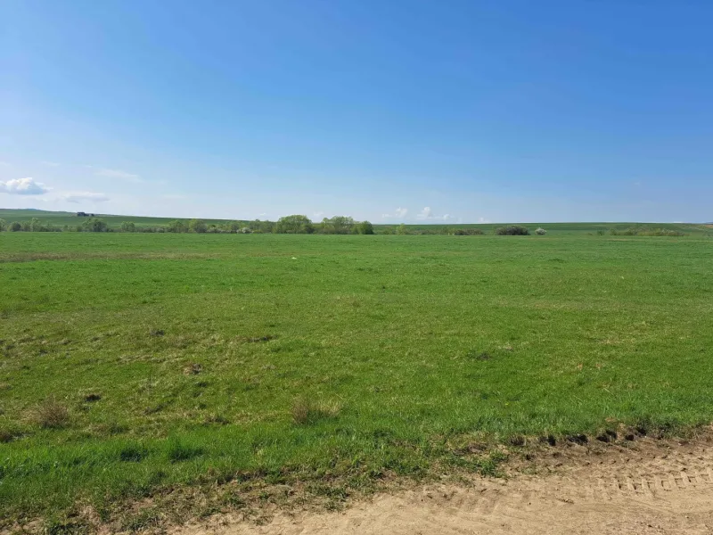 Green agricultural and forest lands in Podhorany under the blue sky.