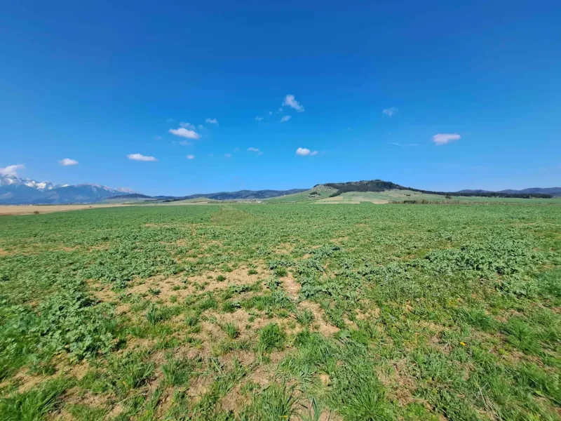 Agricultural and forest land in Podhorany with a view of the mountain massif and blue sky.