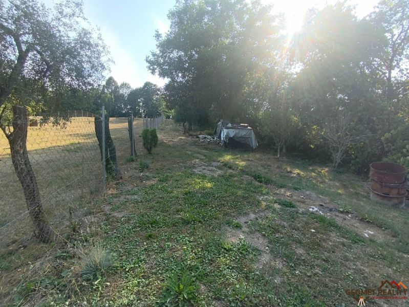 A garden at a family house in Dobroč with a lawn and trees, fenced with a net.